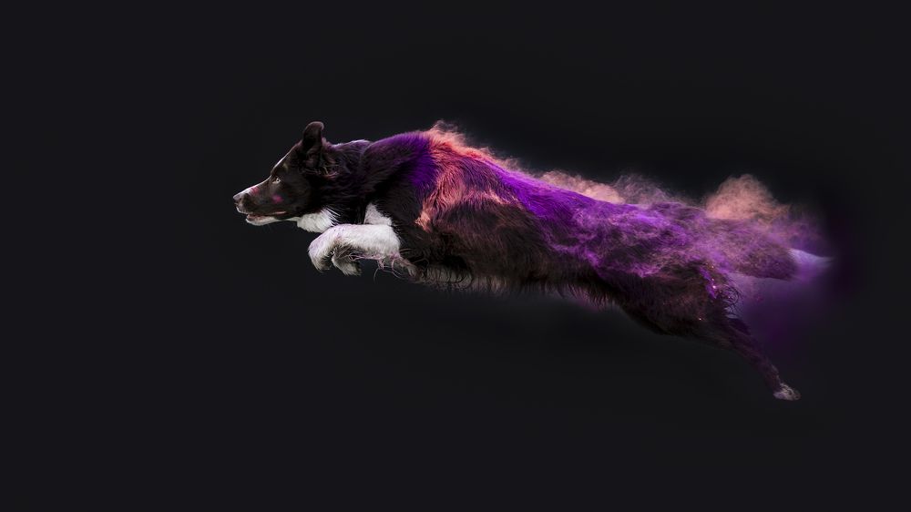 Photograph by Nikol Kopp