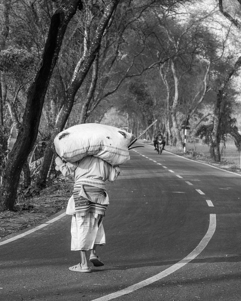 Photograph by Mushfiqur Rahman Abir