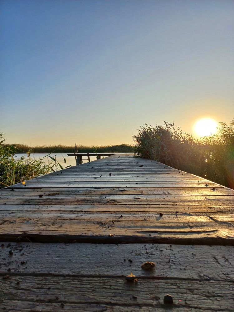 Photograph by VIKTORIA HORUZHINA