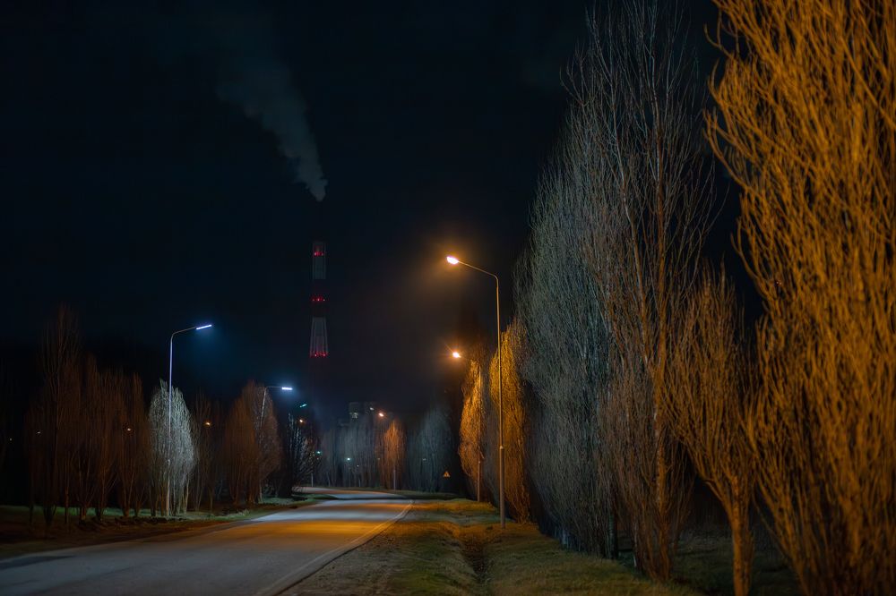 Photograph by Цибуляк Анна