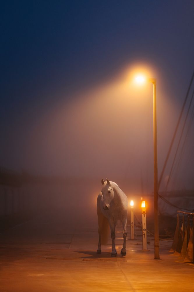 Photograph by Kim Kärger