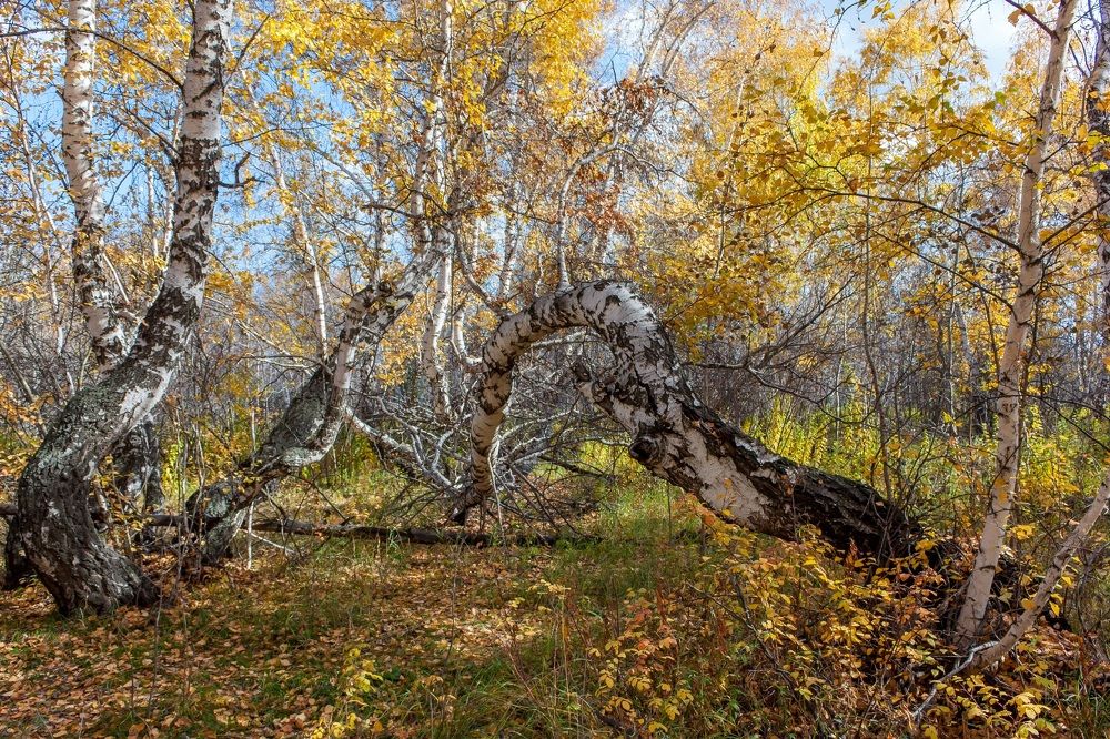 Photograph by Валерий Федяров