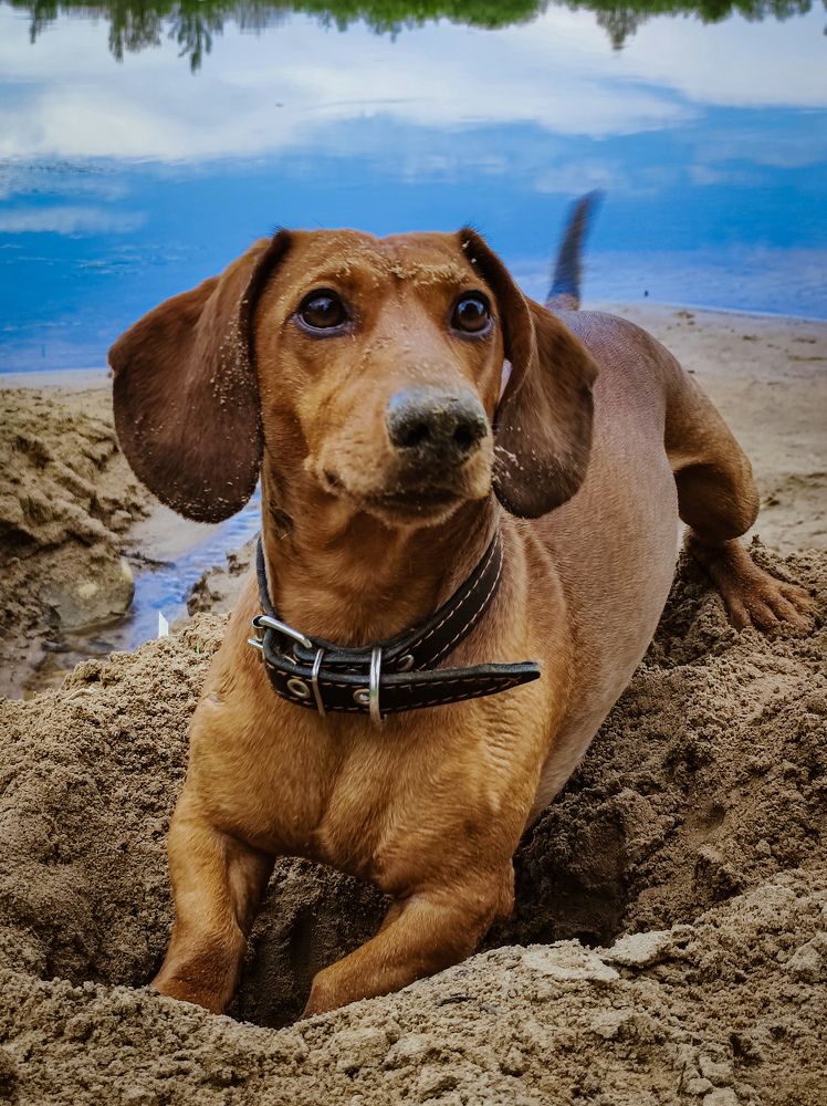 Фотография автора Irina Linina