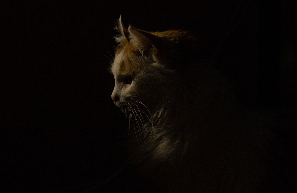 Photograph by Evgeny Ilyin