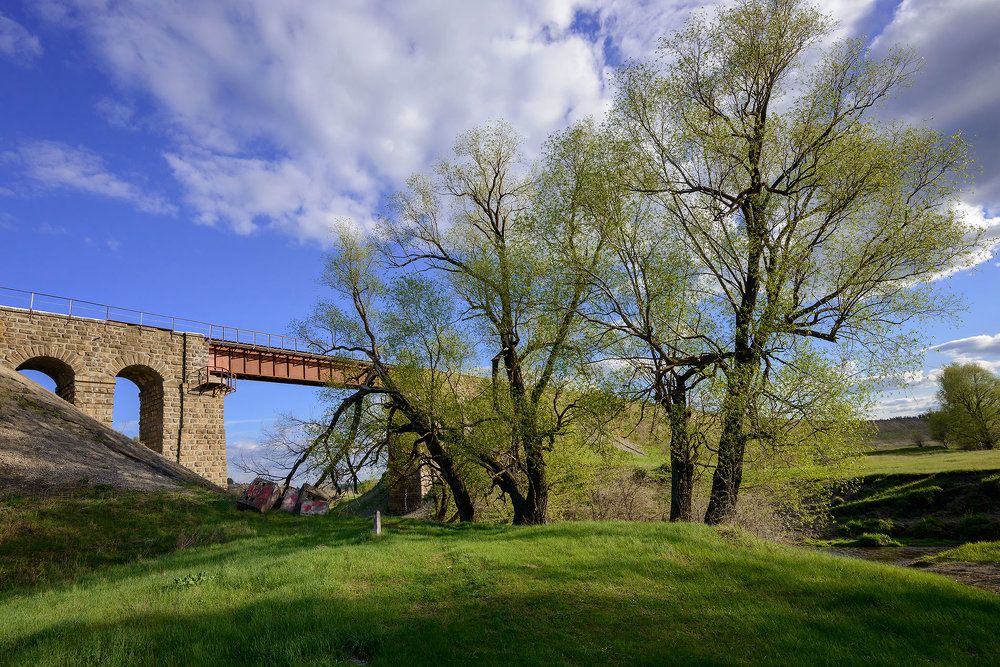 Photograph by Владислав Никишин