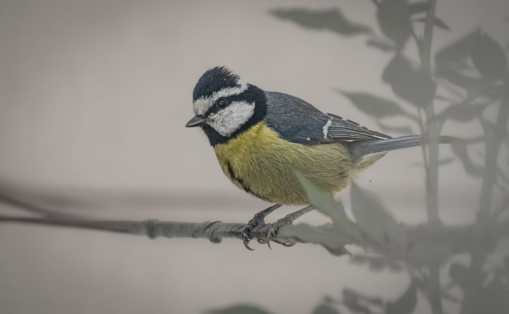 Photograph by kamel draa