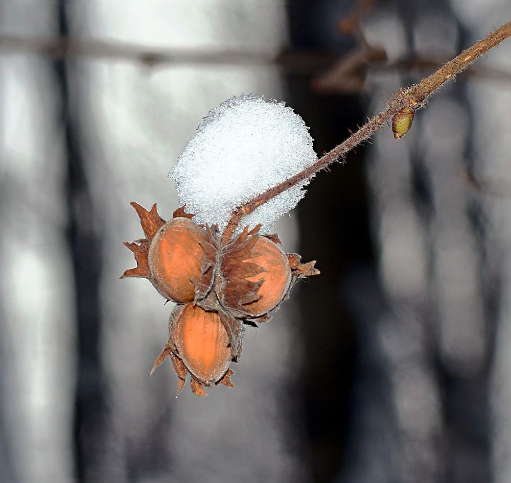 Photograph by Александр Шувалов