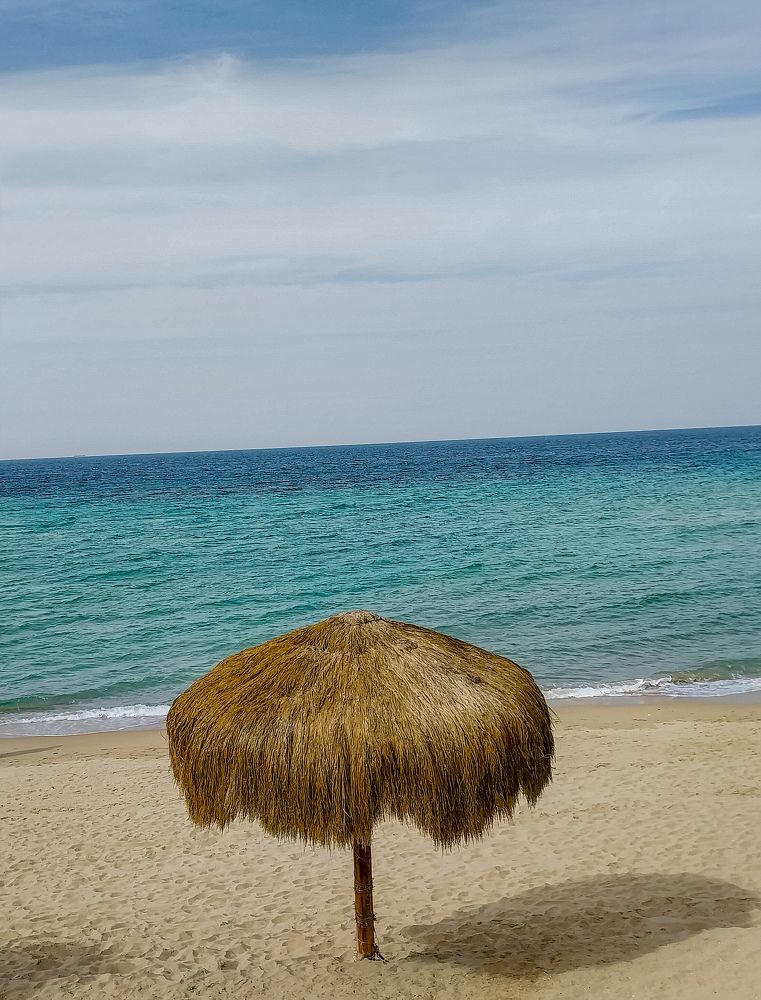 Фотография автора Mennatullah Dakhly