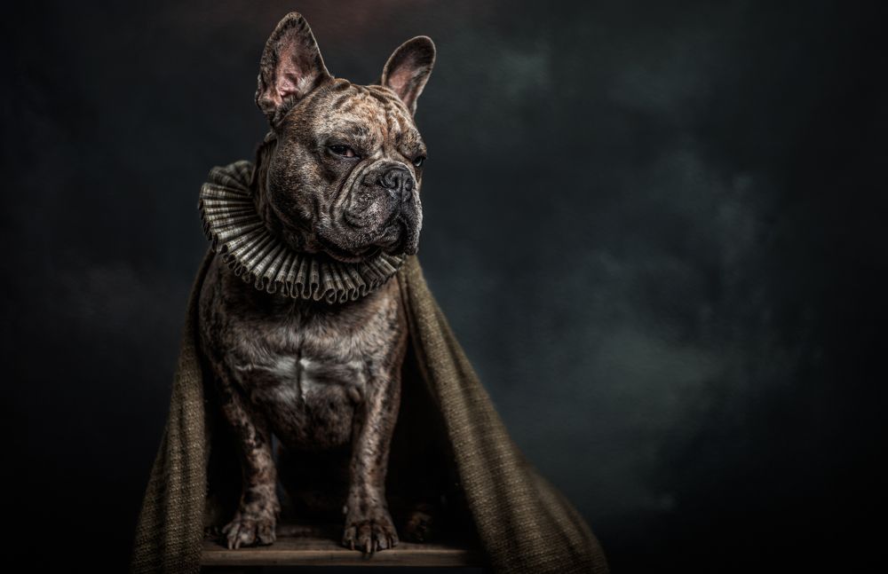 Photograph by Gertrude Goené