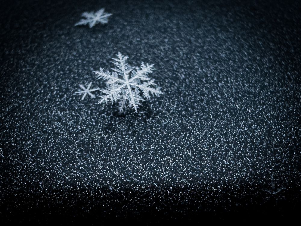 Photograph by Olga Filatova