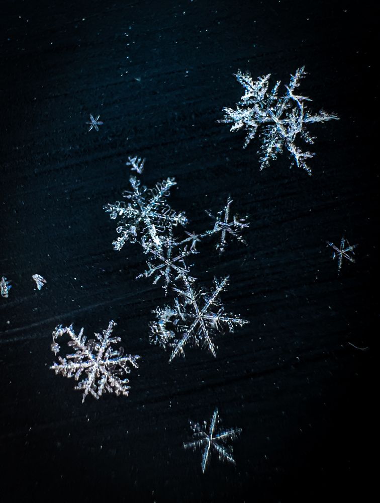 Photograph by Olga Filatova