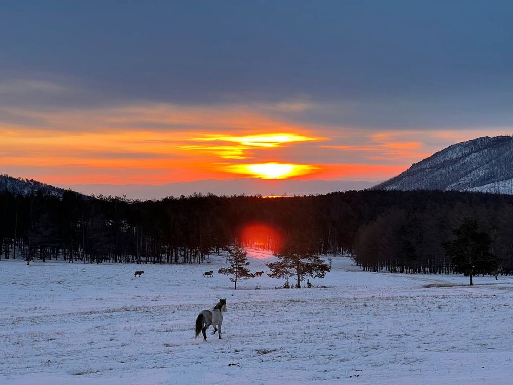 Фотография автора АНАСТАСИЯ ЛЕВИНА