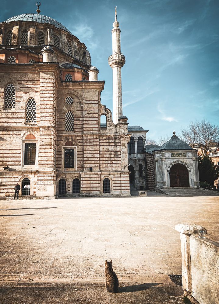 Photograph by Юлия