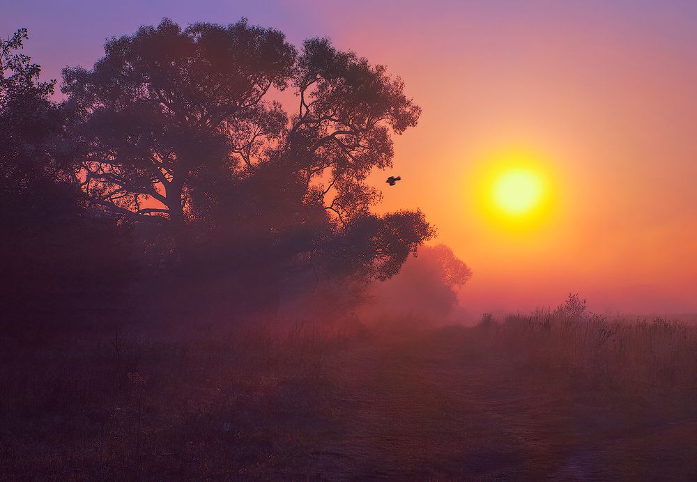 Photograph by Владимир