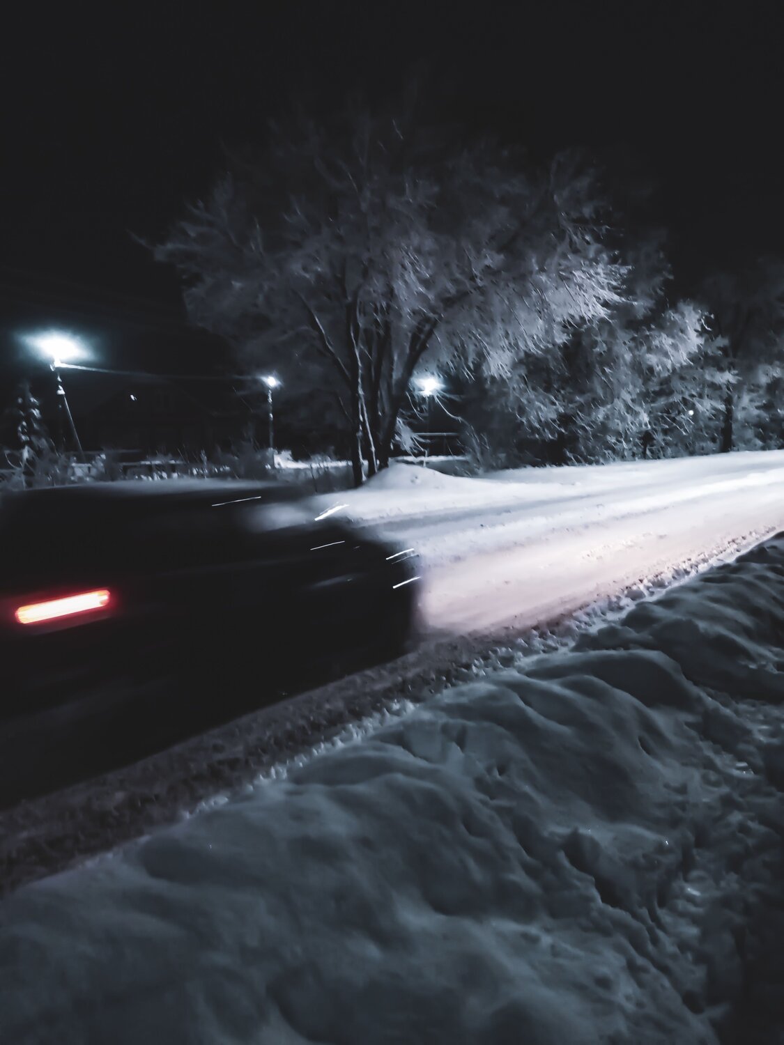 Photo #10458485