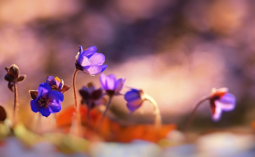 Photograph by Владимир