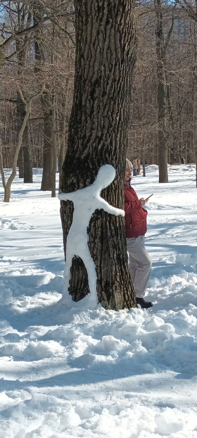 Photo #10458516