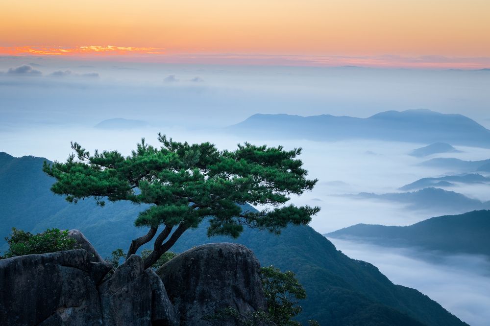 Фотография автора NGUYEN XUAN BAC