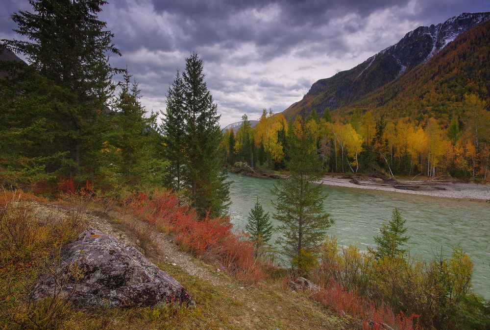 Photograph by Чичкин Валерий