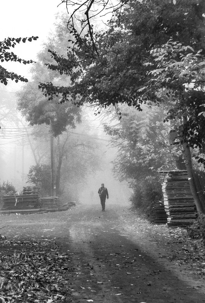 Photograph by Марина Канавченко