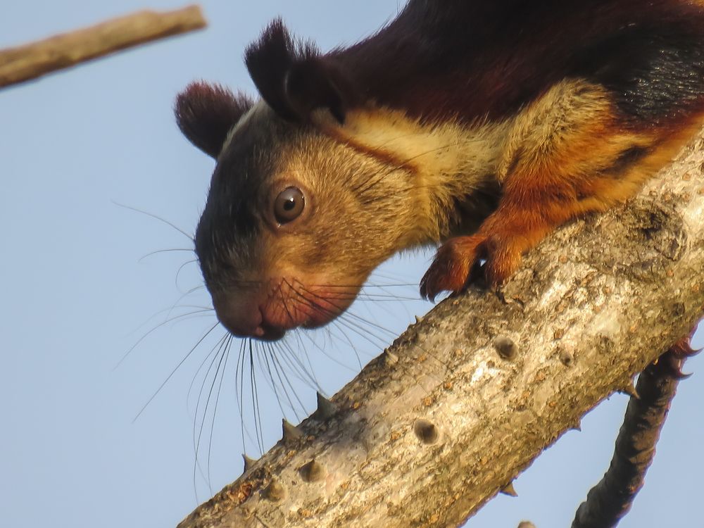 Photograph by Sachin Kamble