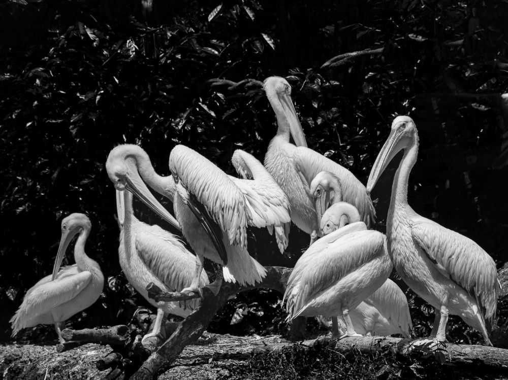 Photograph by Наталья Кокорина