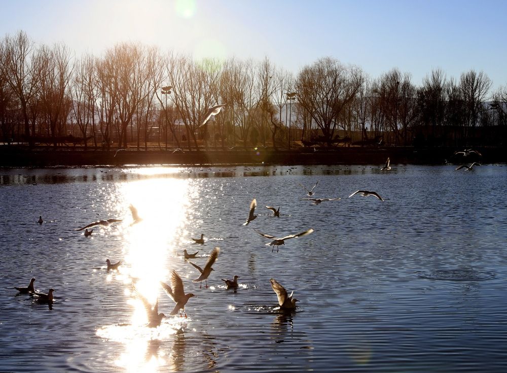 Photograph by Farinaz Bagherpour