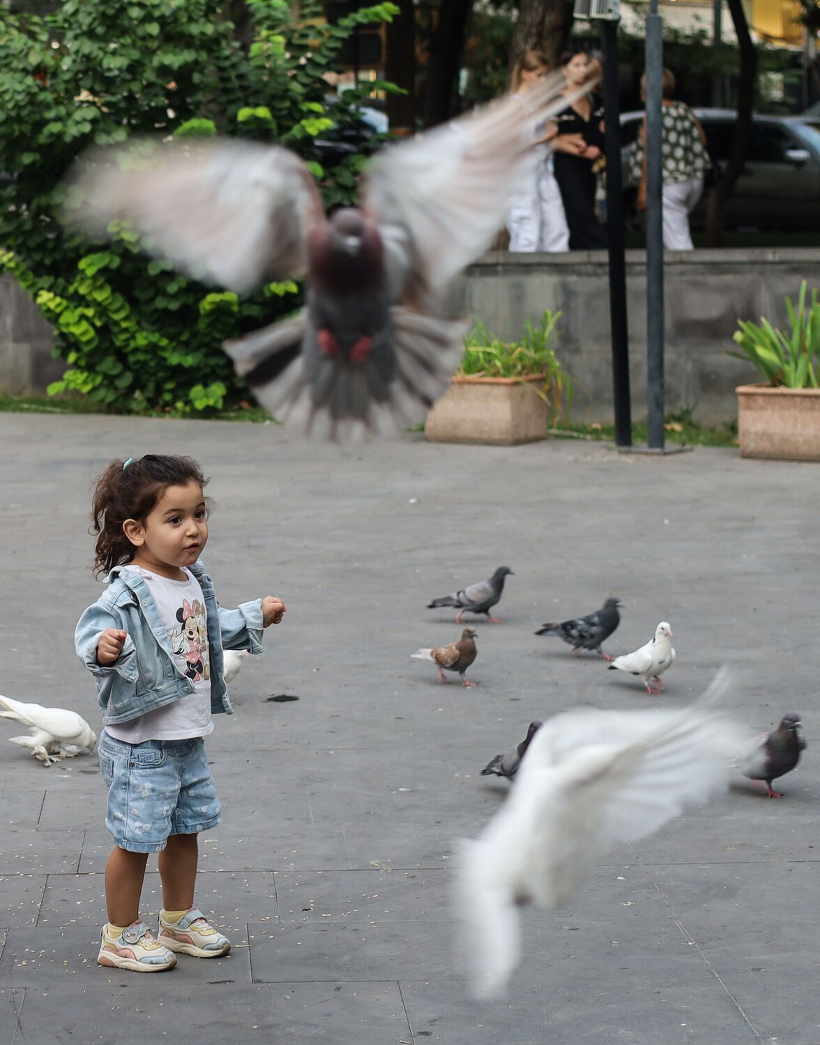 Photo #10458642