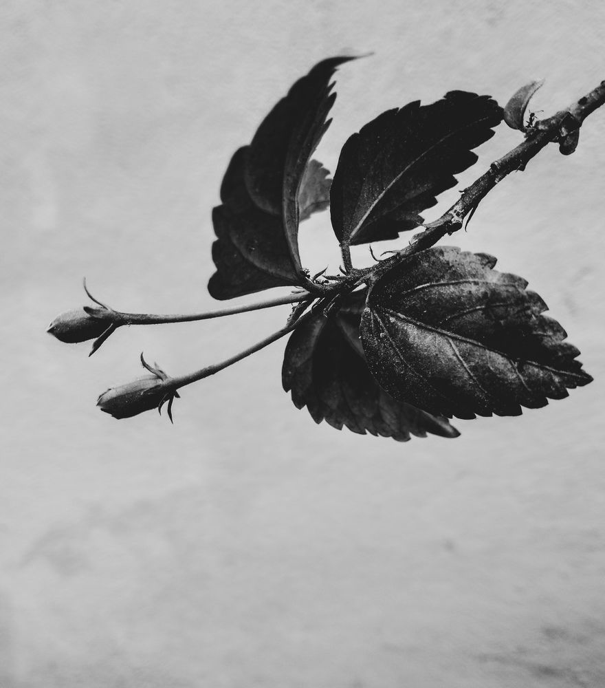 In solitary