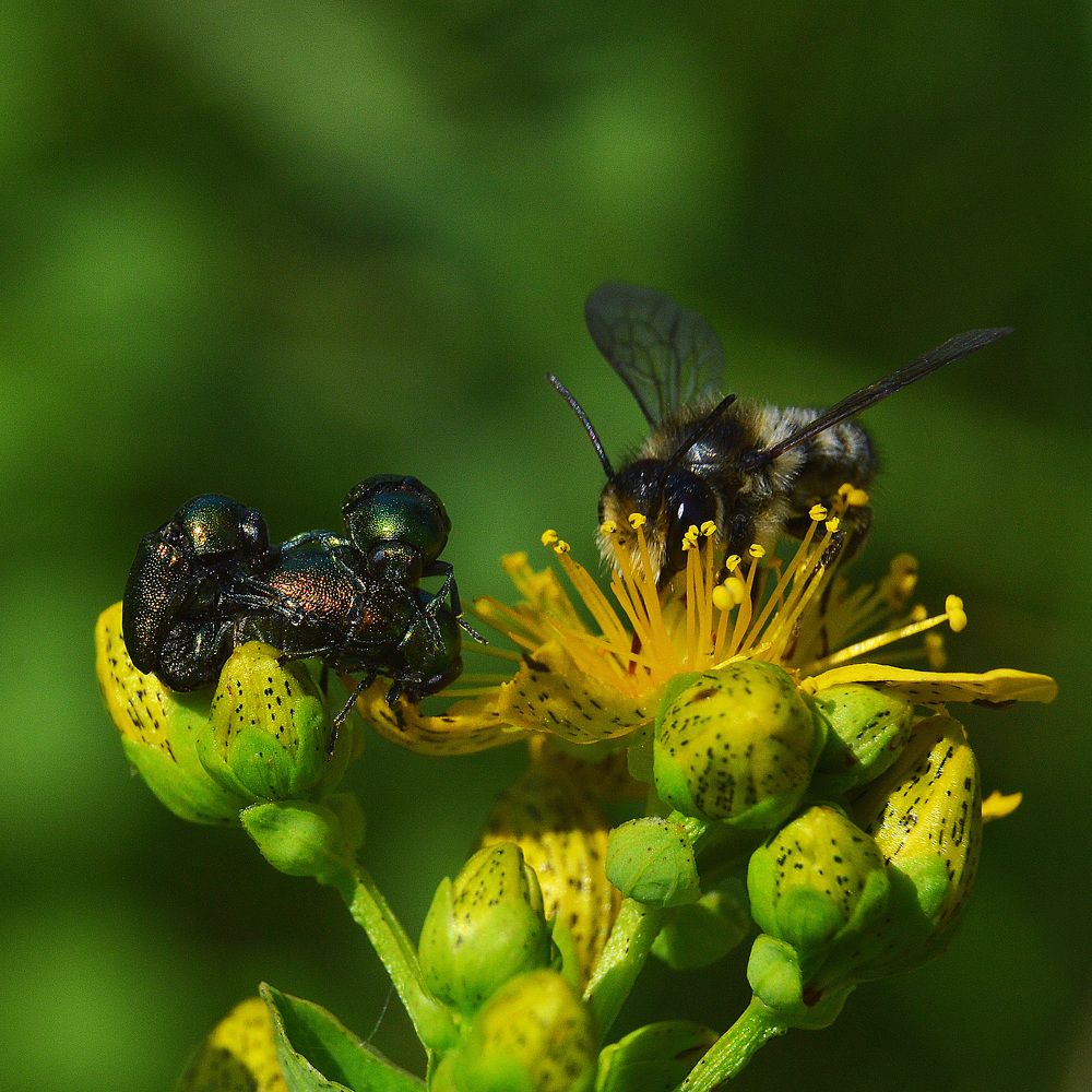 Что творят-то.