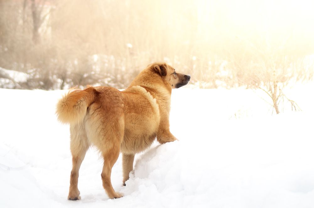 Photograph by Александр Соловьев