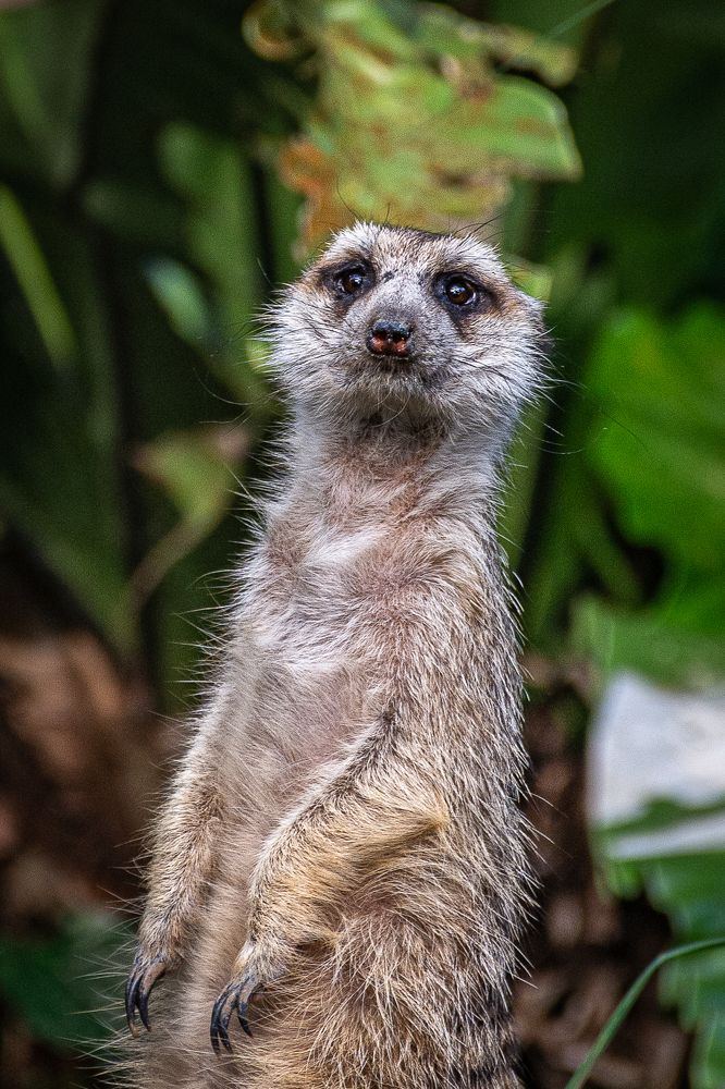 Photograph by Наталья Кокорина