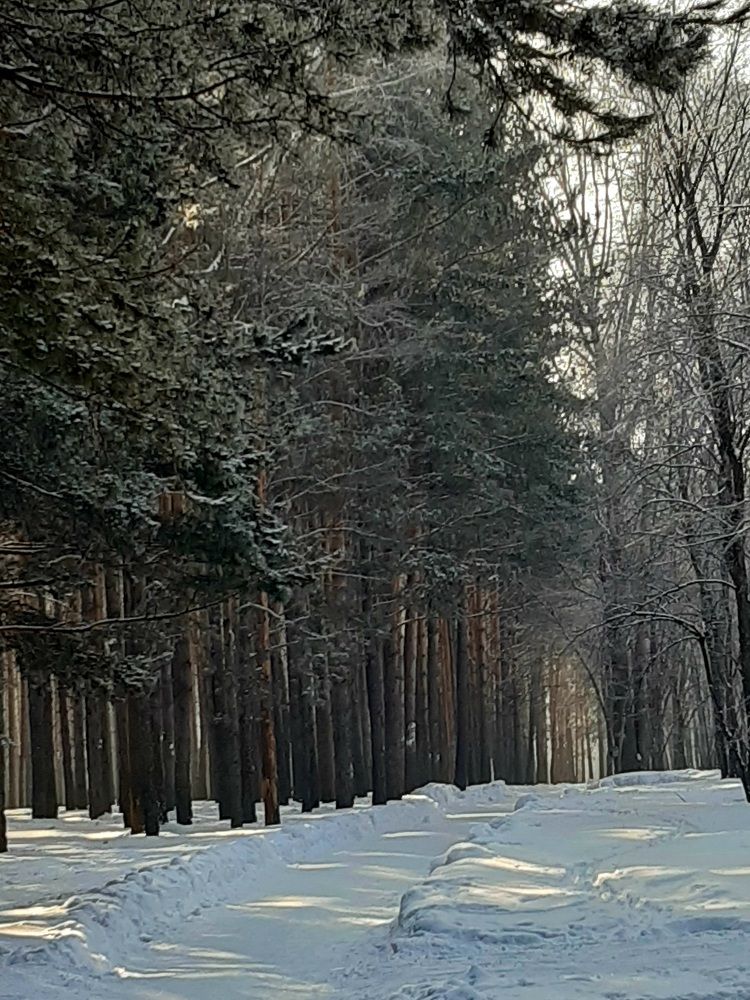 Фотография автора Наталья Шендяпина