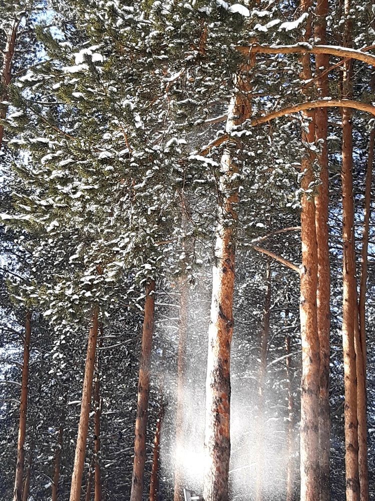 Фотография автора Наталья Шендяпина