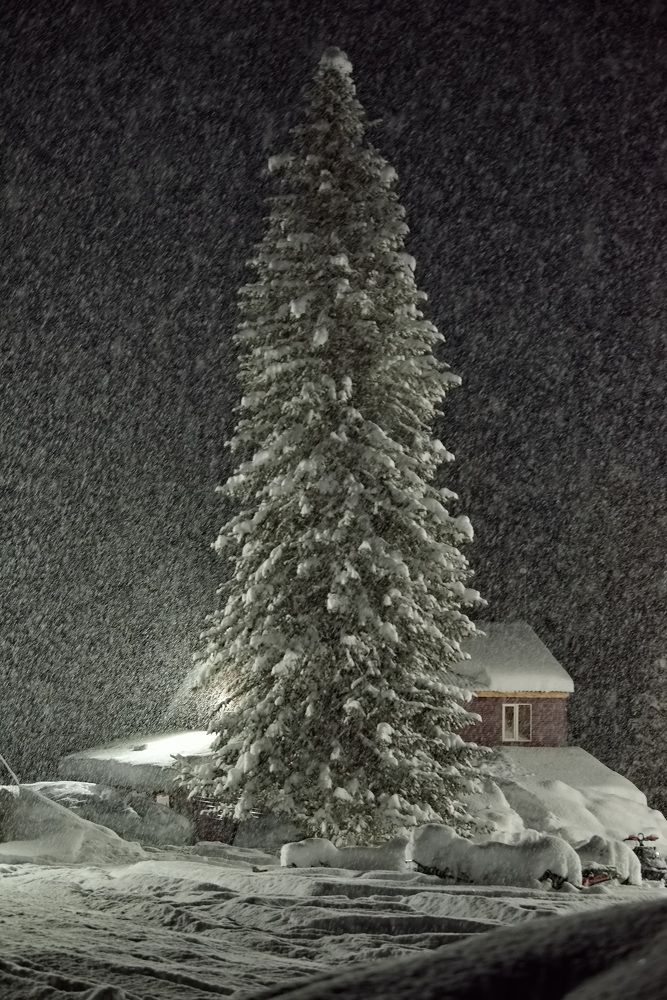 Photograph by Александр КАИ