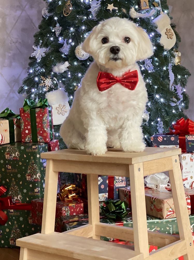 Фотография автора Алина Иванова