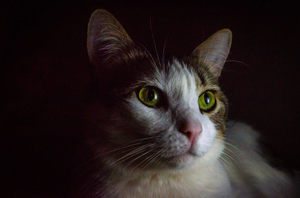 Photograph by Дмитрий Богатырёв