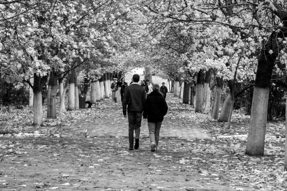 осенний день