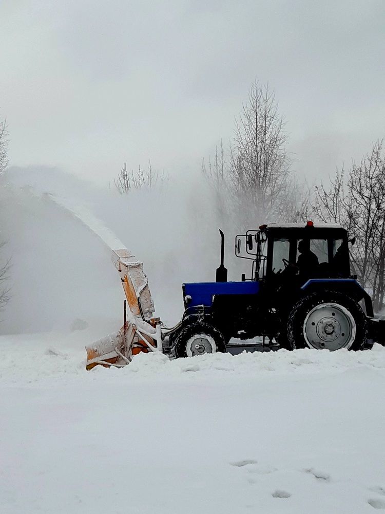 Фотография автора Наталья Шендяпина