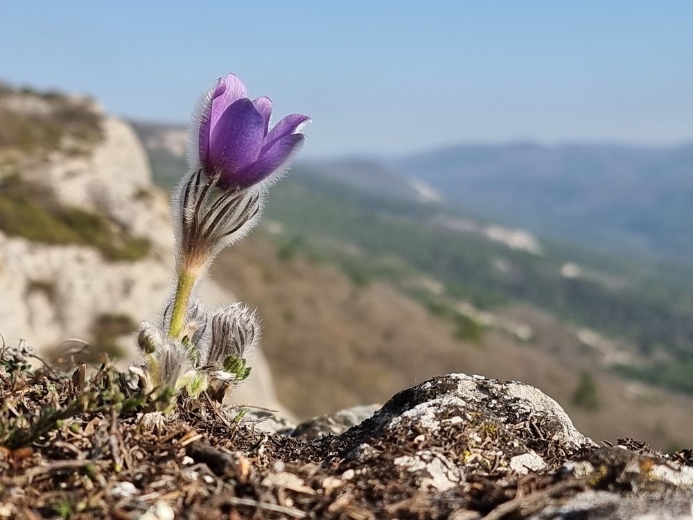 Photograph by Евгений Фесенко