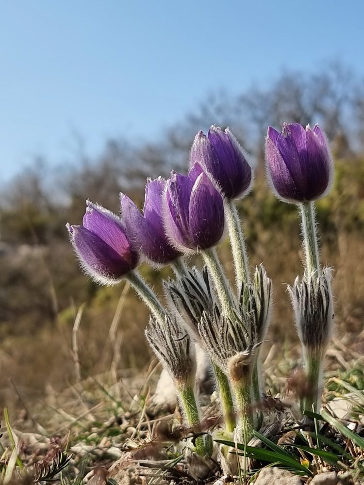 Photograph by Евгений Фесенко