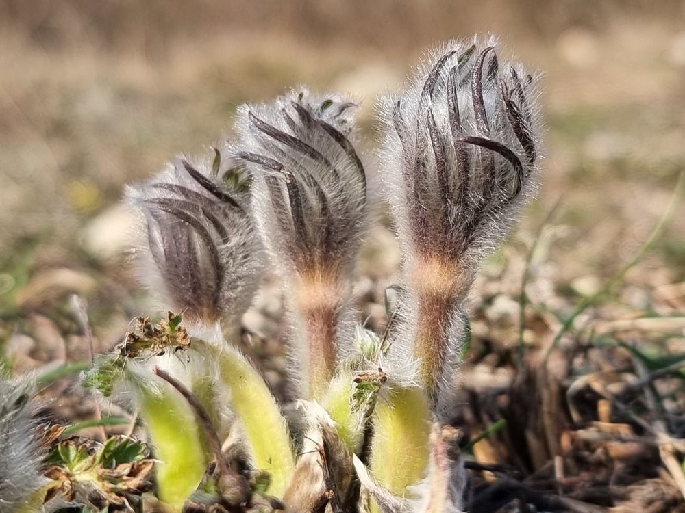Photograph by Евгений Фесенко