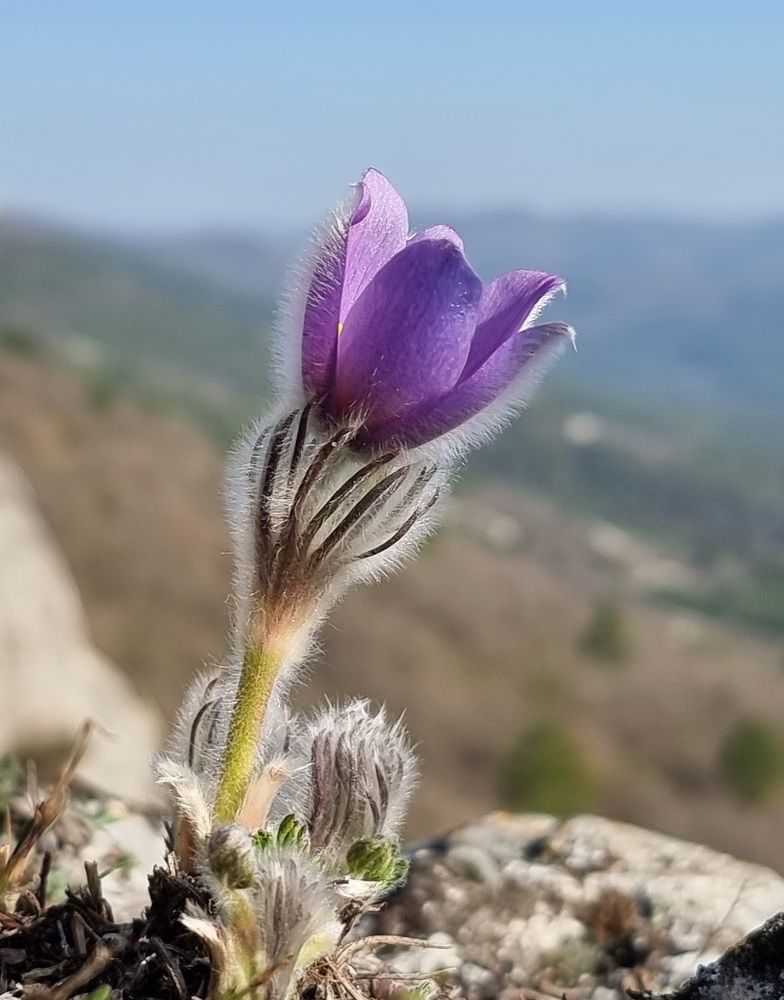 Photograph by Евгений Фесенко