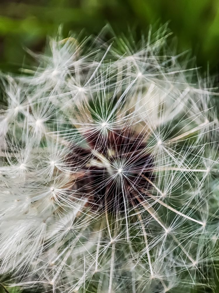 Photograph by Алексей Лазарев