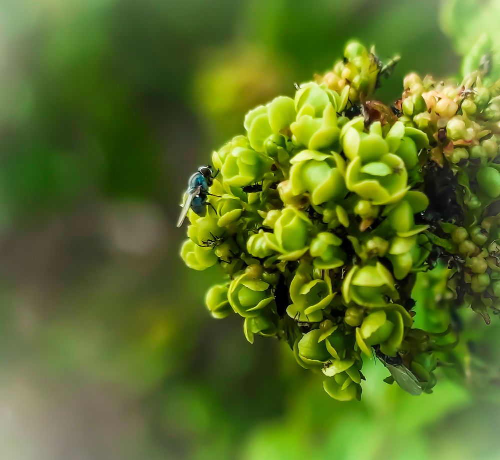 Photograph by Алексей Лазарев