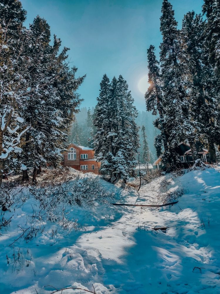 Photograph by Ayush Thakur