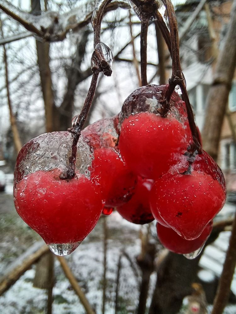 Photograph by VIKTORIA HORUZHINA