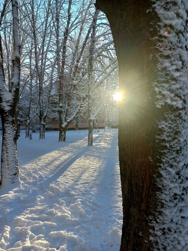 Photograph by VIKTORIA HORUZHINA