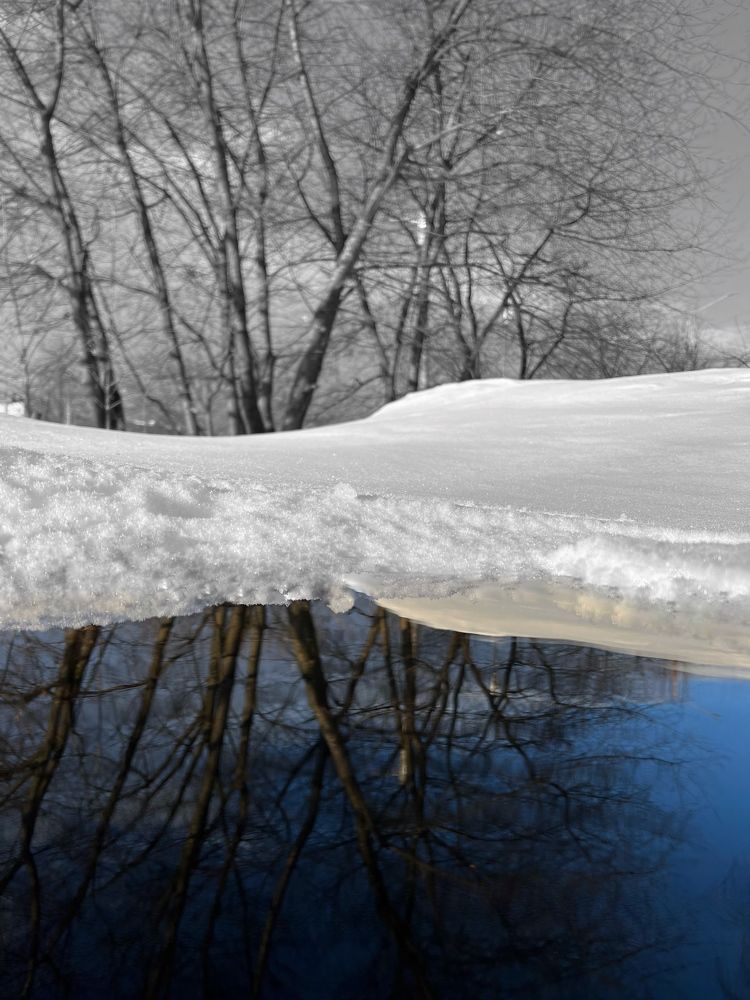 Photograph by Ekaterina Vinogradova