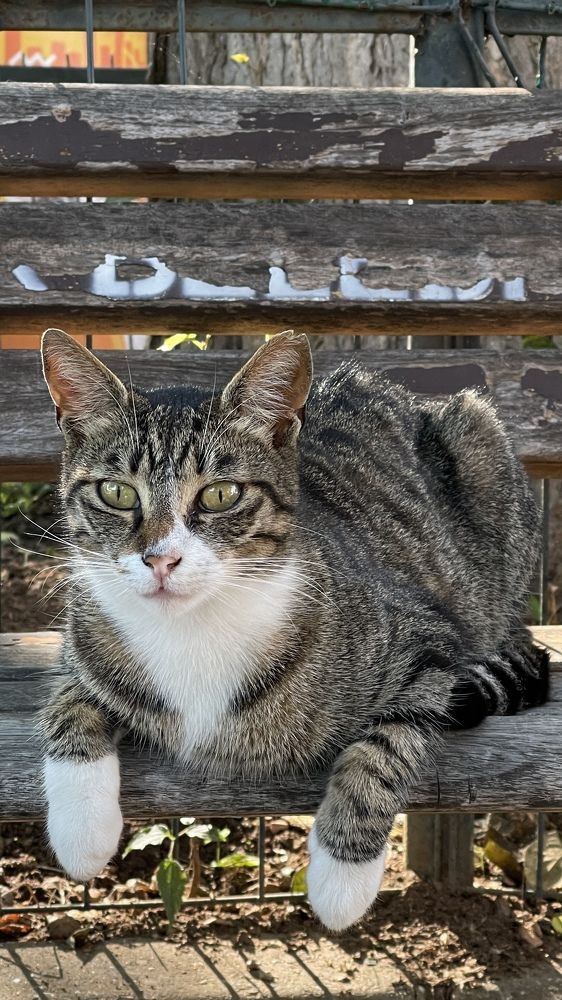 Photograph by Khayala Aliyeva